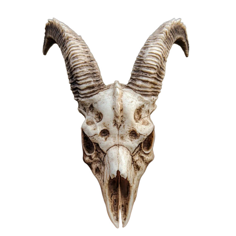 Exaggerated Goat Skull Vinyl Car Decal Sticker – Waterproof & UV-Resistant 8"