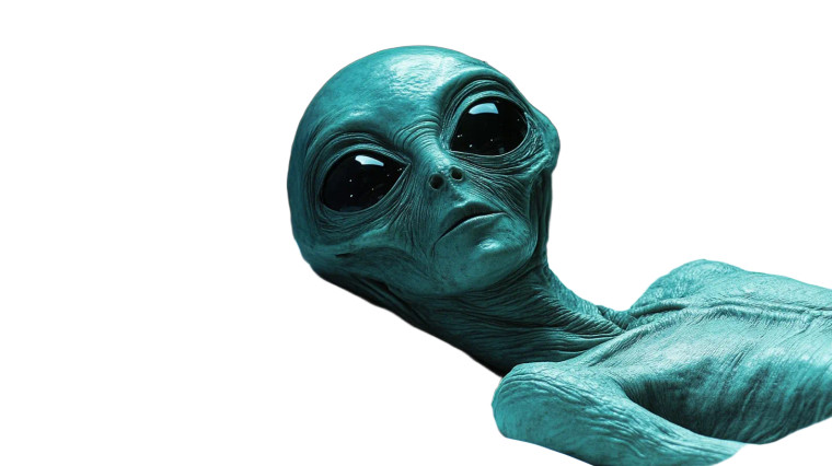 Grey Alien Examined Vinyl Car Decal Sticker – Waterproof & UV-Resistant 8"