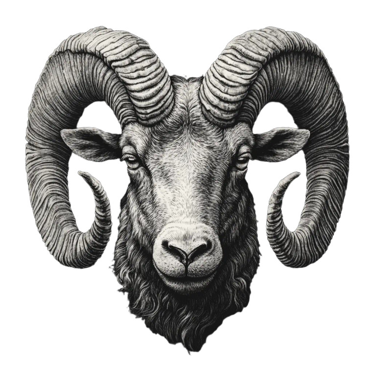 Realistic Aries Portrait Vinyl Car Decal Sticker – Waterproof & UV-Resistant 8"