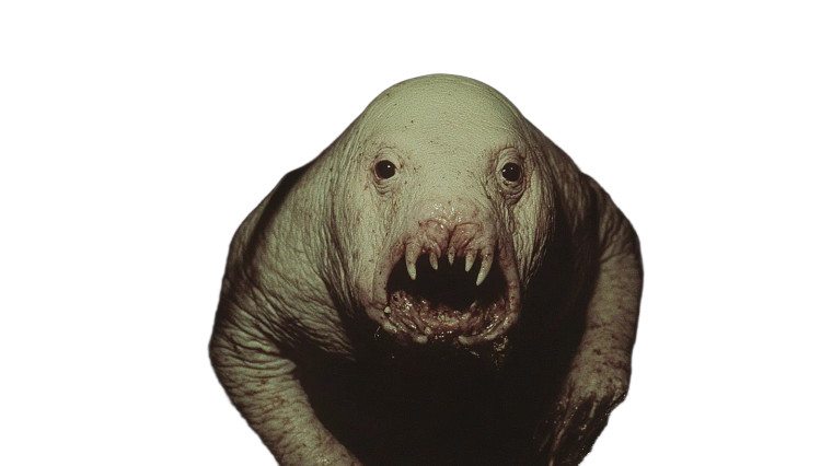 Albino Manticore Vinyl Car Decal Sticker – Waterproof & UV-Resistant 8"