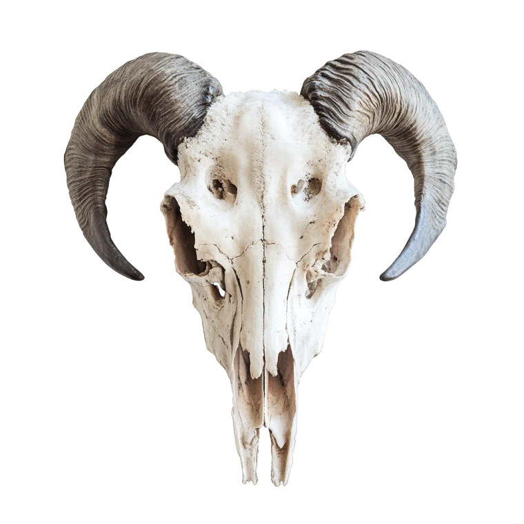 Lamb Skull Collage Vinyl Car Decal Sticker – Waterproof & UV-Resistant 8"