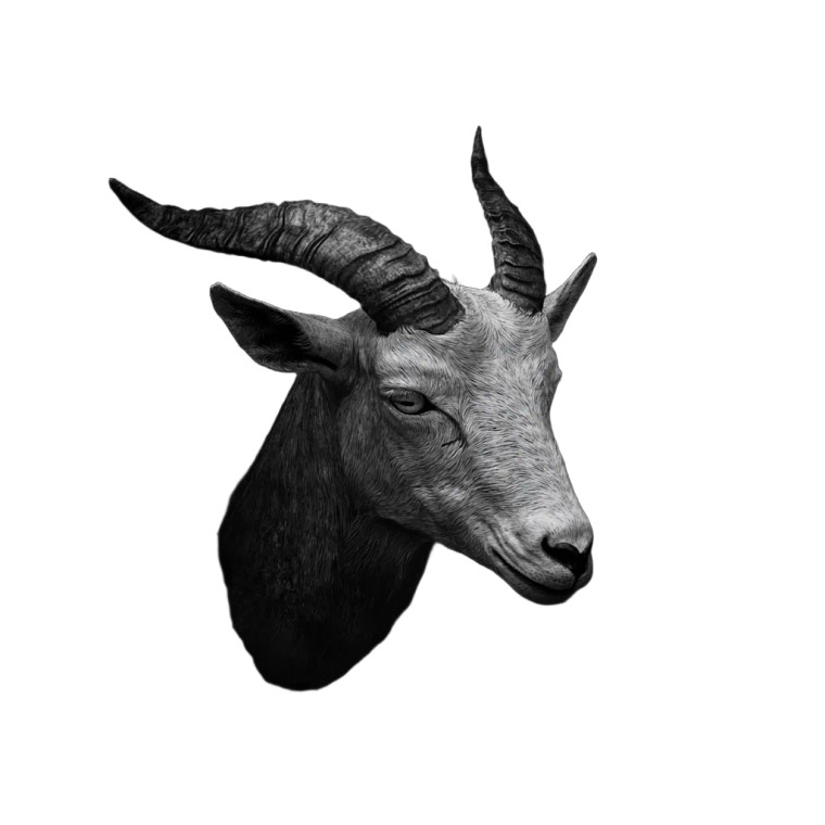 Capricorn Head V3 Vinyl Car Decal Sticker – Waterproof & UV-Resistant 8"
