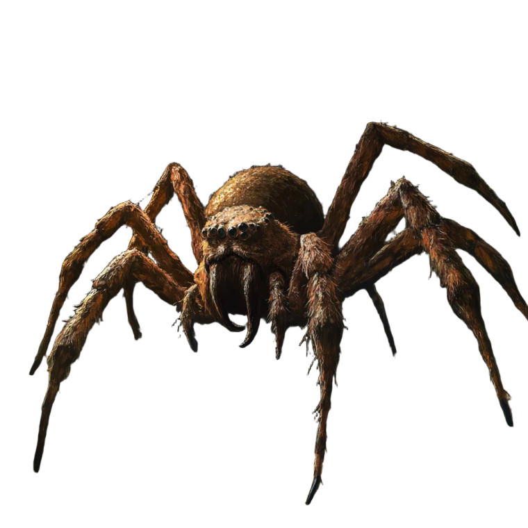 Giant Spider Portrait Vinyl Car Decal Sticker – Waterproof & UV-Resistant 8"