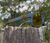 Custom cerakoted Oakley sunglasses in speed-striped blue and bronze