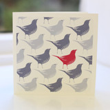 Jacky Al-Samarraie Song Thrush Blue Red Greeting Card