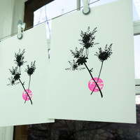 Pink Smoketree  screenprints hanging to dry - The Art Rooms