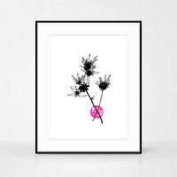 Jacky Al-Samarraie pink smoketree flower screen print shown in large black frame