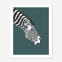 Jacky Al-Samarraie Zebra Print Teal