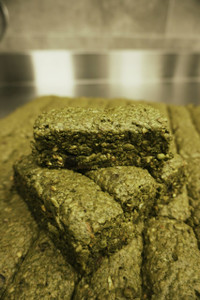 The Evergreen Bar - Energizing, Wholesome, Healthy The Evergreen Bar - Energizing, Wholesome, Healthy