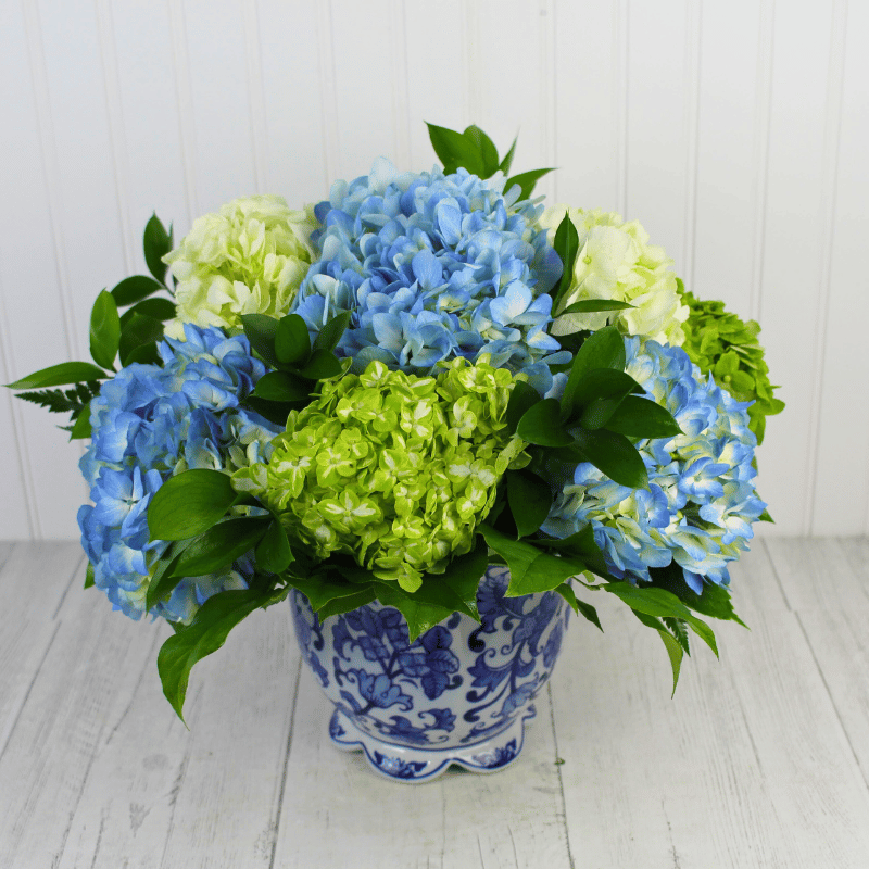 フラワー・ガーデニング mi Sweet Southern Hydrangeas