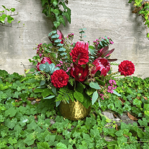 Summer Dahlias Summer Dahlias