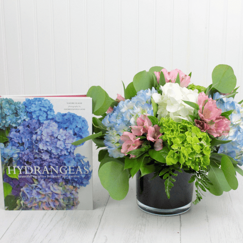 Heritage of Hydrangea