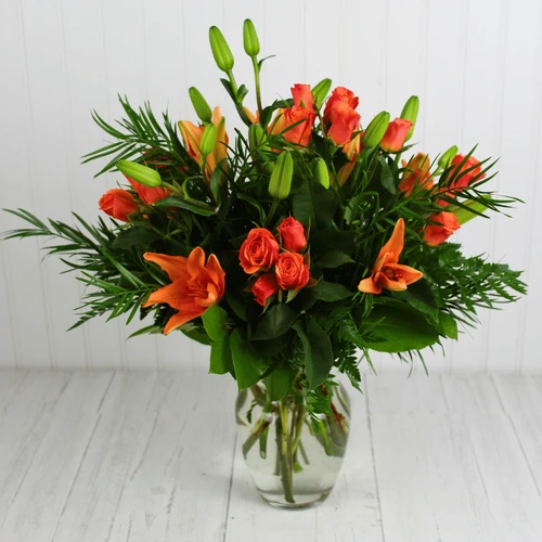 Orange Cuties