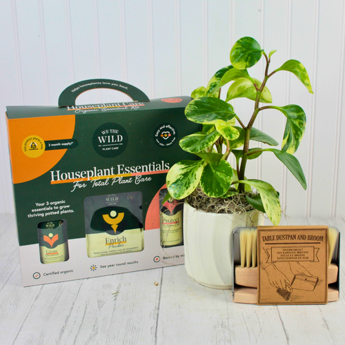 The Beginner Planter