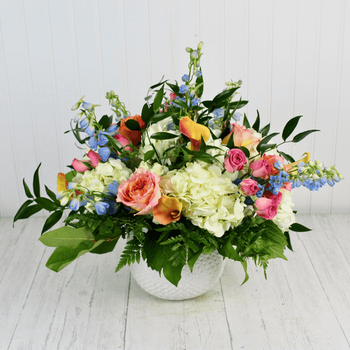 Color on Central Ave floral arrangement with free spirit roses, mango calla lilies, white hydrangeas, and blue delphinium in a white vessel.
