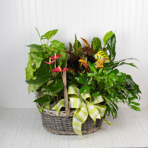 European Garden Basket