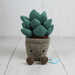 Plush Plants