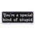 You're A Special Kind Of Stupid Biker Patch by Hot Leathers
