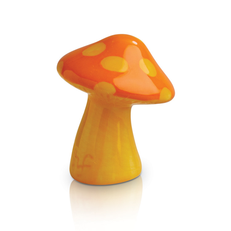 A262 Funky Fungi