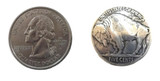 Buffalo Coin Reproduction Concho westerncanteens