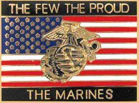 2nd Marine Division Hat Pin Cap Lapel 1 