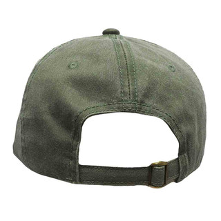 Vietnam Veteran All Gave Some, 58,479 Gave All OD Hat