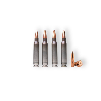 Badlands Munition Co 556 70GR TSX NAS3 (Single Box 50RD) - Team Room