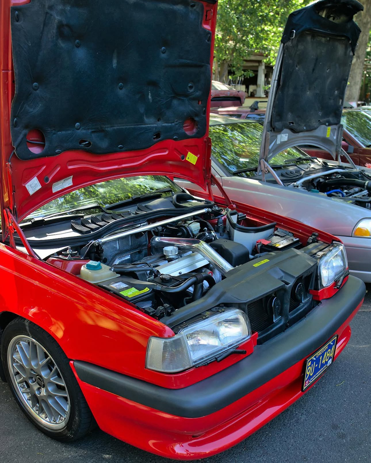 ViVA Performance on Instagram