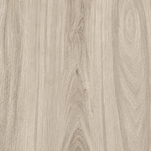 24X48 WOODS — VIK-WOO-24X48-PAV-OAK-20MM — product shot