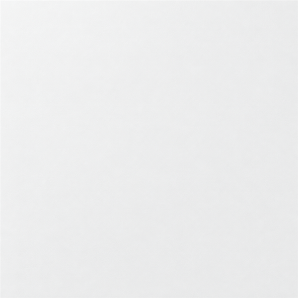 4X12 WHITE SUBWAY TILE — SHO-WHISUB-4X12-TIL-MAT — product shot