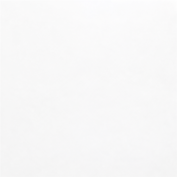 4X16 WHITE SUBWAY TILE — SIL-WHISUB-4X16-TIL-MAT — product shot