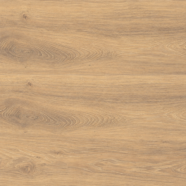 8" x 40" OXFORD — Honey — SIL-OXF-8X40-TIL-HON-MAT — product shot