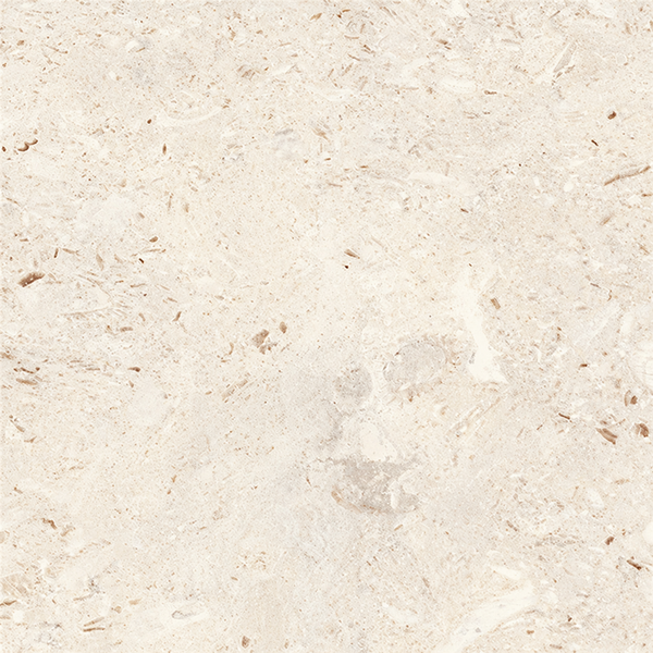 24" x 24" CORALSTONE — Ivory — COR-24X24-PAV-IVORY — product shot