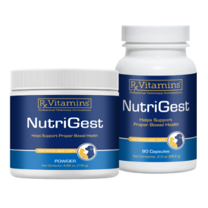 Nutrigest for Dogs and Cats by Rx Vitamins in a jar (powder form) or bottle (capsule form), to improve digestion