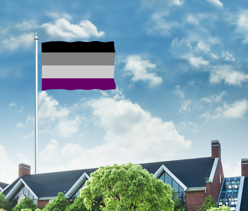 Asexual Garden Flag (Two-Sided Printing)