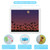 Bats Diamond Painting (H)