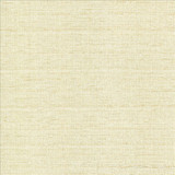 Abalone Opal by Kasmir Designer Fabric 1449 86% Polyester 14% Viscose INDIA 98,000 Martindale Cycles Horizontal: 0 Inches and Vertical: 0 Inches 55 - Swanky Fabrics -