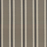 Bartlett Stripe Thunder by Kasmir Designer Fabric 5078 100% Cotton INDIA 6,000 Wyzenbeek Double Rubs Horizontal: 4 4/8 inches and Vertical: 0 Inches 54 - Swanky Fabrics -