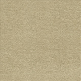 Becker Suede by Kasmir Designer Fabric 5118 100% Polyester USA 33,000 Wyzenbeek Double Rubs Horizontal: 0 Inches and Vertical: 0 Inches 56 - Swanky Fabrics -