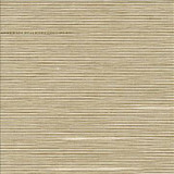 Boxwood Putty by Kasmir Designer Fabric 5002 55% Cotton 45% Polyester TAIWAN 30,000 Wyzenbeek Double Rubs H: N/A, V: N/A 54 - 55 - Swanky Fabrics - Kasmir