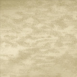 Braccio Taupe by Kasmir Designer Fabric 5126 100% Polyester INDIA 30,000 Wyzenbeek Double Rubs Horizontal: 0 Inches and Vertical: 0 Inches 54 - Swanky Fabrics -