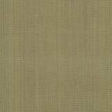 Burnet Celery by Kasmir Designer Fabric 5074 52% Cotton 31% Polyester 17% Rayon CHINA 60,000 Wyzenbeek Double Rubs Horizontal: 0 Inches and Vertical: 0 Inches 58 - Swanky Fabrics -