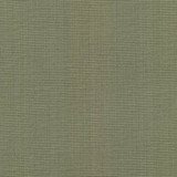 Burnet Sage by Kasmir Designer Fabric 5074 52% Cotton 31% Polyester 17% Rayon CHINA 60,000 Wyzenbeek Double Rubs Horizontal: 0 Inches and Vertical: 0 Inches 58 - Swanky Fabrics -
