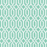 Dont You Fret Mint Julep by Kasmir Designer Fabric 5073 70% Cotton 30% Polyester CHINA 16,000 Wyzenbeek Double Rubs Horizontal: 1 4/8 inches and Vertical: 2 3/8 inches 54 - 55 - Swanky Fabrics -