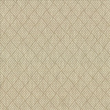 Dream Weaver Pearl by Kasmir Designer Fabric 5083 69% Polyester 31% Cotton USA 50,000 Wyzenbeek Double Rubs Horizontal: 1 3/8 inches and Vertical: 1 1/8 inches 54 - 55 - Swanky Fabrics -