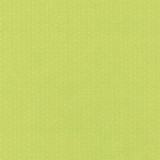 Ecco Chic Citrine by Kasmir Designer Fabric 5074 68% Rayon 32% Polyester CHINA 51,000 Wyzenbeek Double Rubs Horizontal: 0 Inches and Vertical: 0 Inches 55 - Swanky Fabrics -