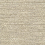 Freeport Texture Desert by Kasmir Designer Fabric 5066 72% Polyester 16% Cotton 12% Rayon INDIA 30,000 Wyzenbeek Double Rubs Horizontal: 0 Inches and Vertical: 0 Inches 54 - 55 - Swanky Fabrics -