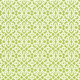 Fuerte Spring by Kasmir Designer Fabric 5107 100% Cotton USA 9,000 Wyzenbeek Double Rubs Horizontal: 7 inches and Vertical: 6 4/8 inches 54 - Swanky Fabrics -
