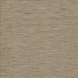 Gainsford Tea by Kasmir Designer Fabric 5060 75% Polyester 25% Viscose INDIA Not Tested H: N/A, V: N/A 54 - Swanky Fabrics - Kasmir