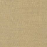 Gauzier Linen by Kasmir Designer Fabric 5076 100% Polyamide TURKEY Horizontal: 0 Inches and Vertical: 0 Inches 117 - 118 - Swanky Fabrics -